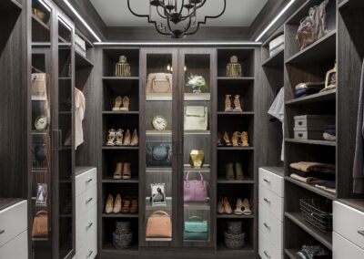 Modern Walk-In Closet